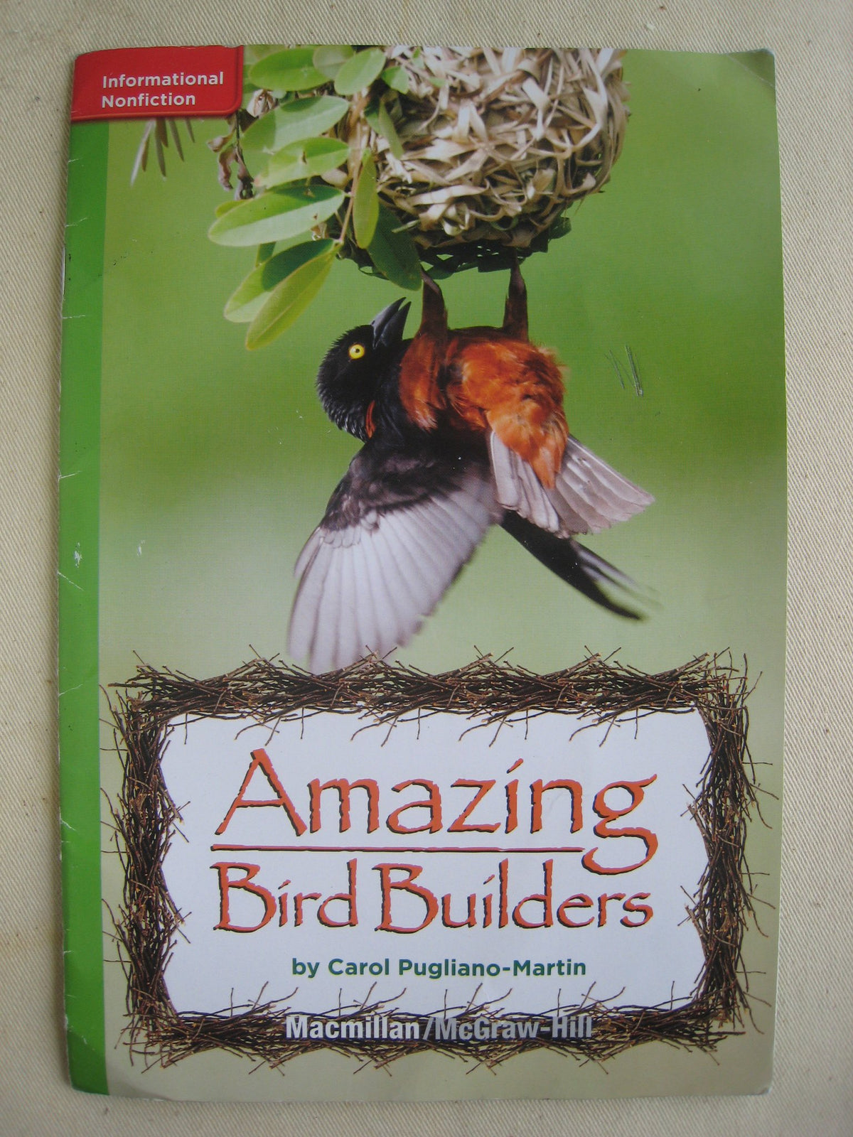 Amazing Bird Builders
