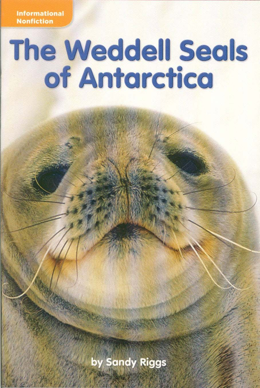 The Weddell Seals (Grade 3 Reading)