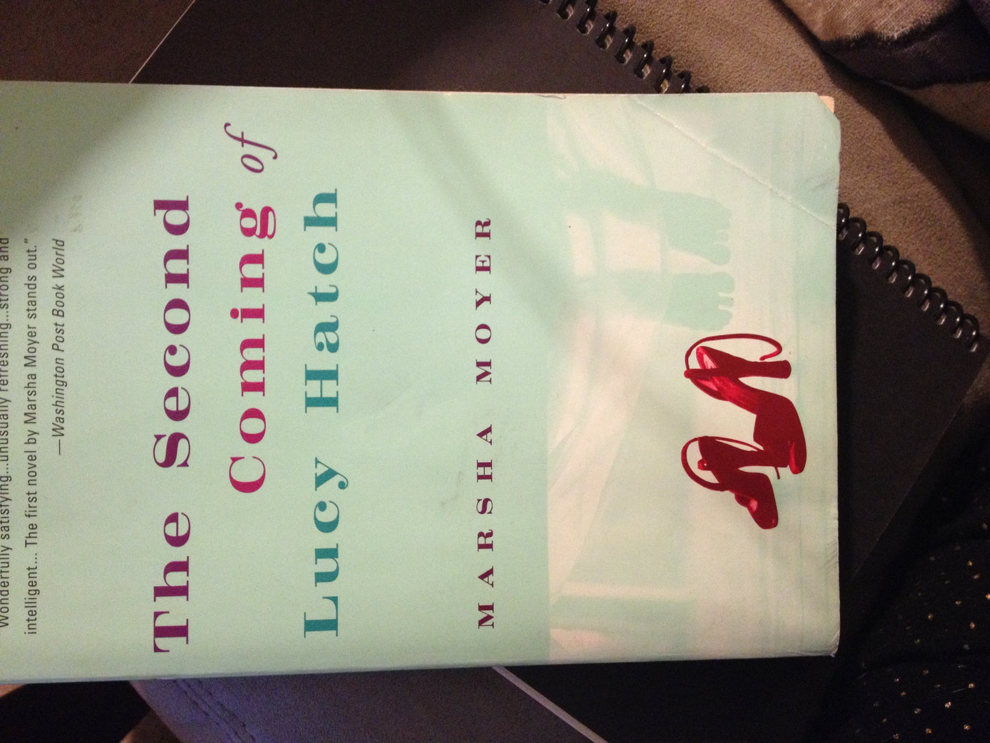 The Second Coming of Lucy Hatch: A Novel