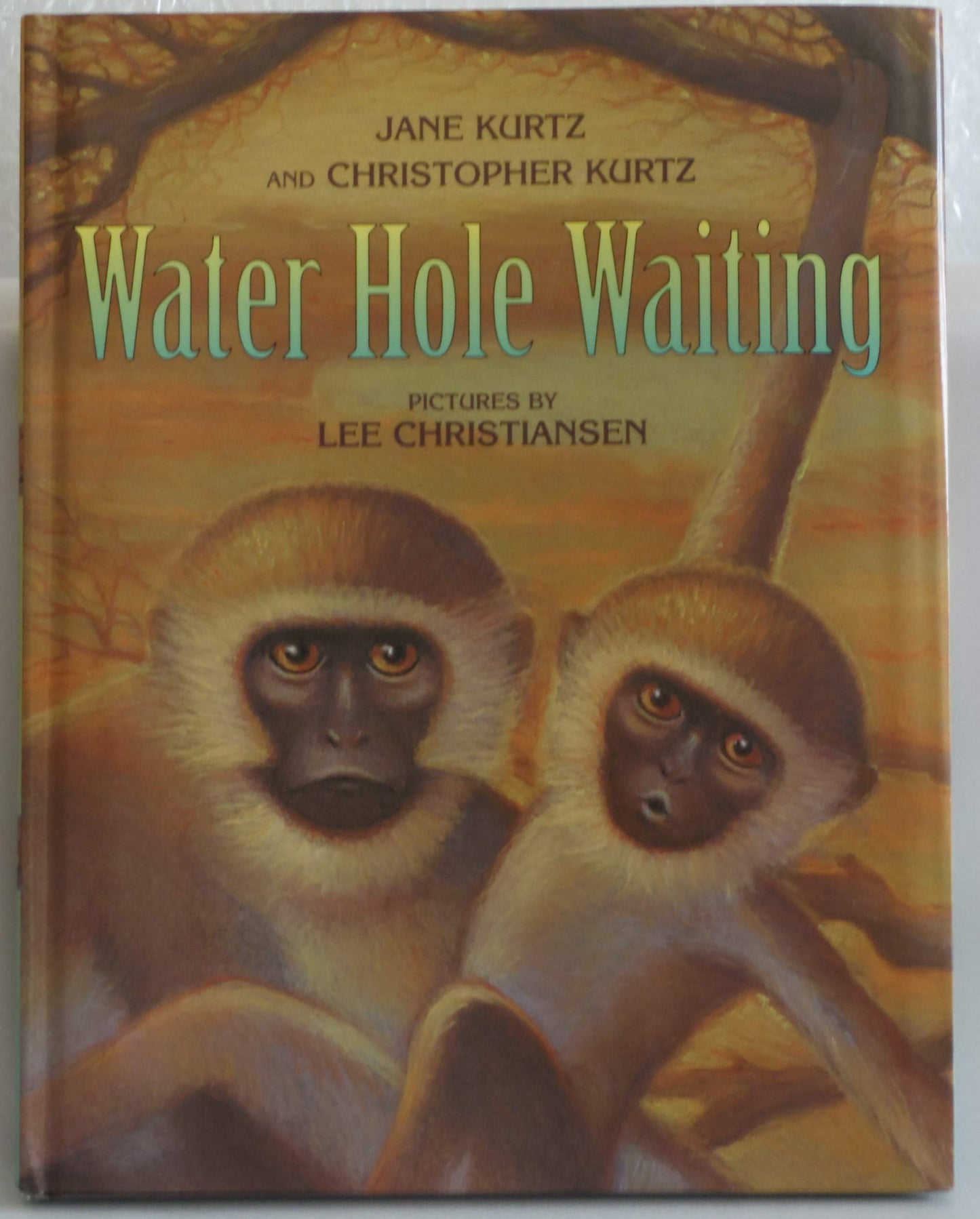 Water Hole Waiting