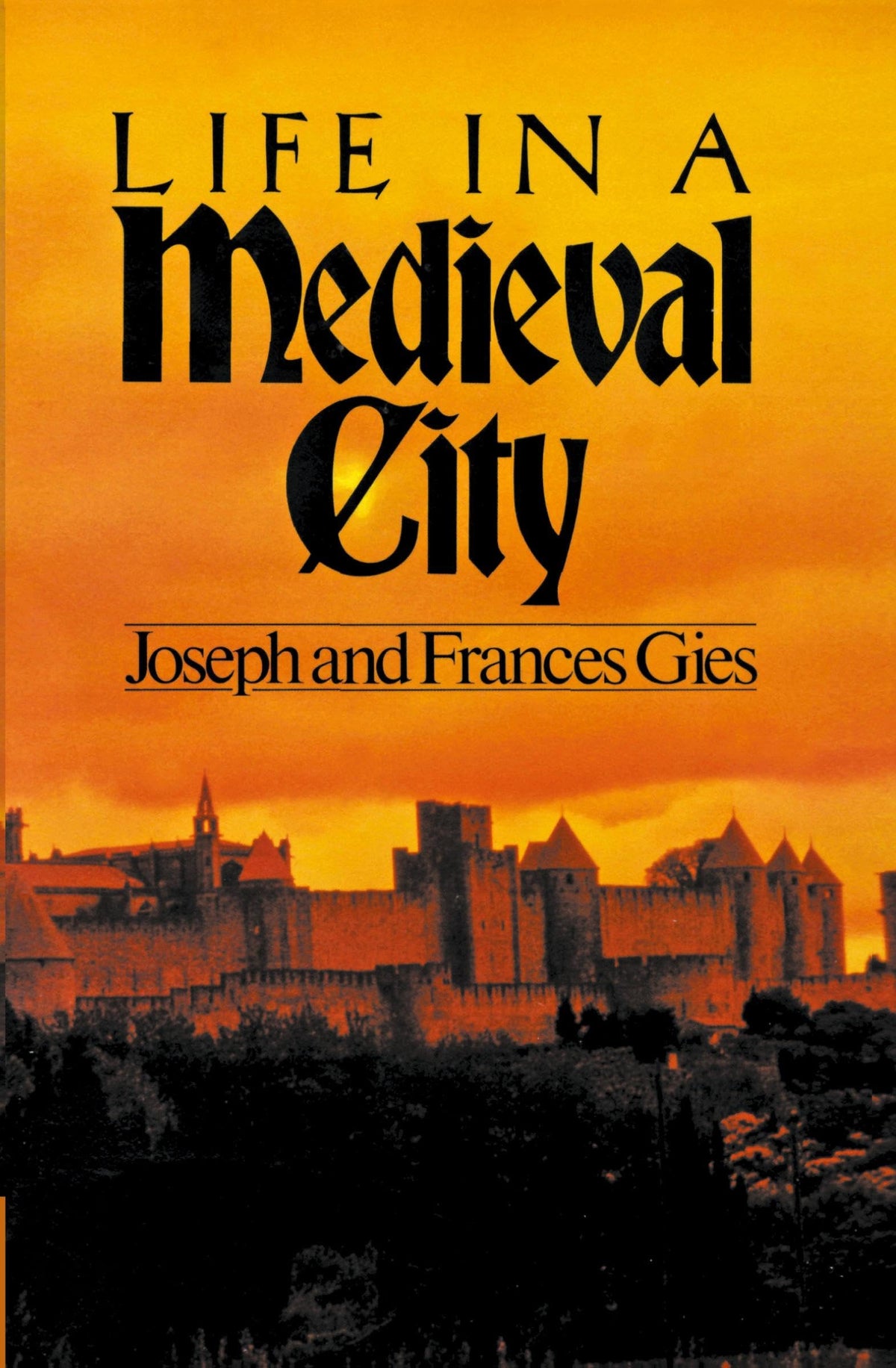 Life in a Medieval City (Medieval Life)