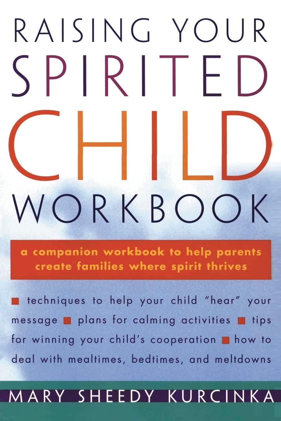 Raising Your Spirited Child Workbook (Spirited Series)