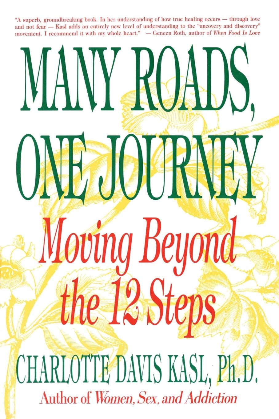Many Roads One Journey: Moving Beyond the 12 Steps