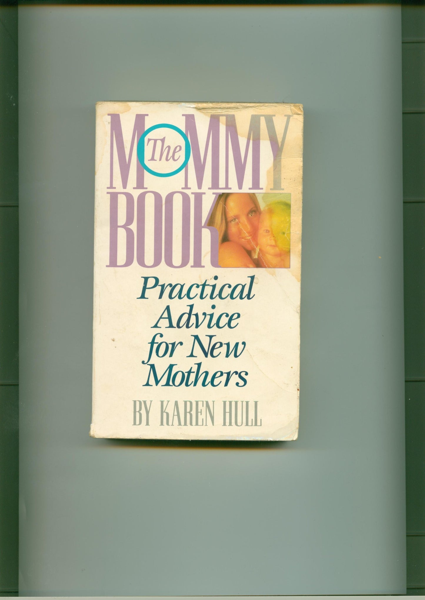 The Mommy Book