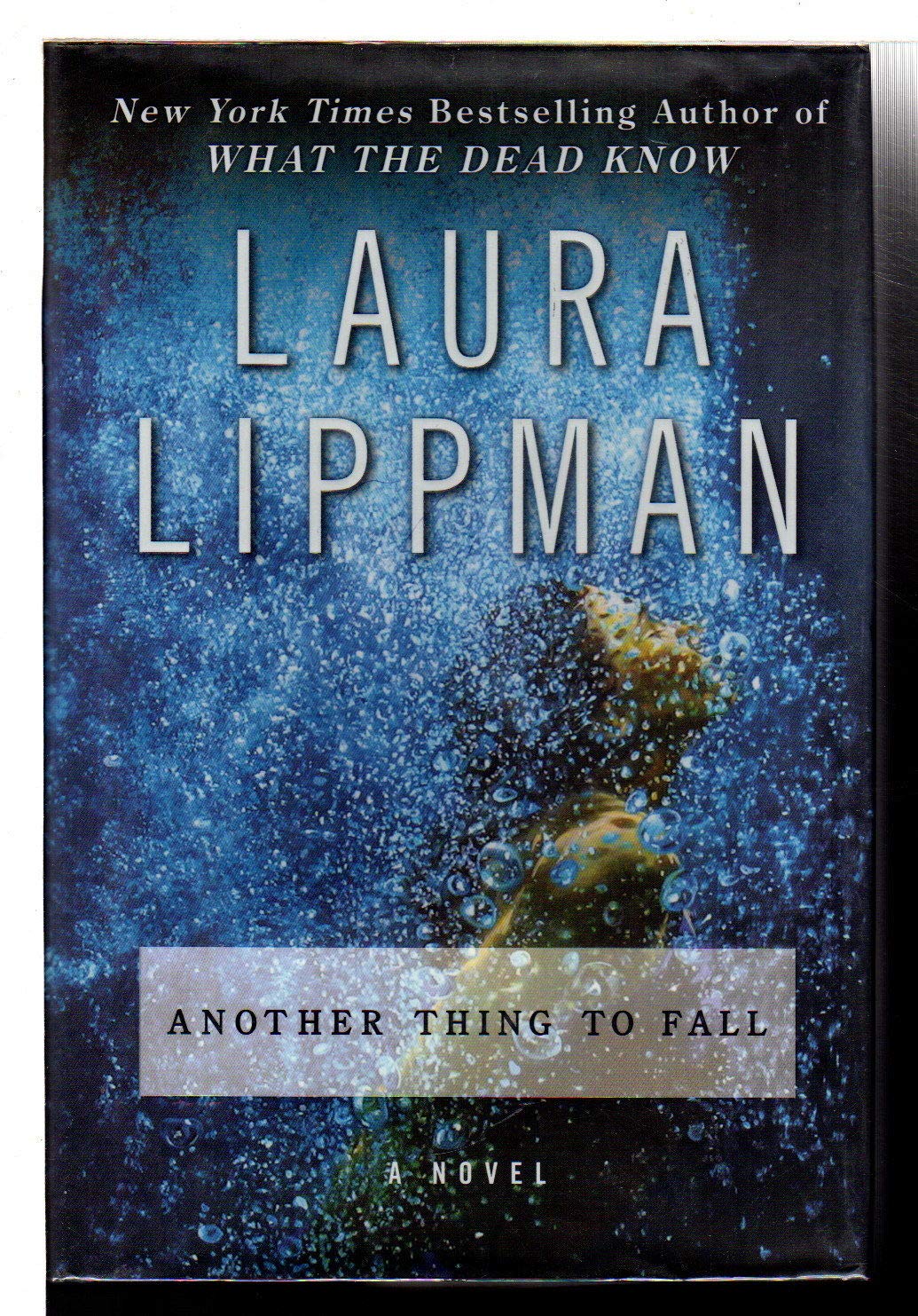 Another Thing to Fall: A Novel (Tess Monaghan Novel, 10)