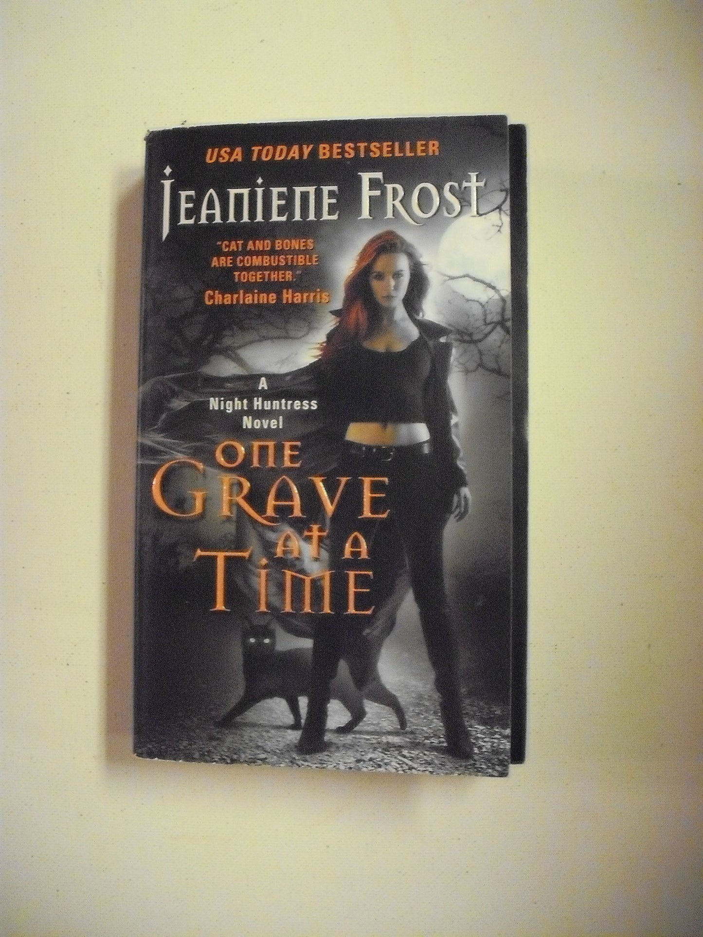 One Grave at a Time: A Night Huntress Vampire Paranormal Romance Novel
