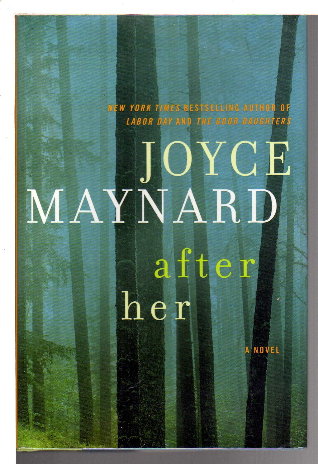 After Her: A Novel