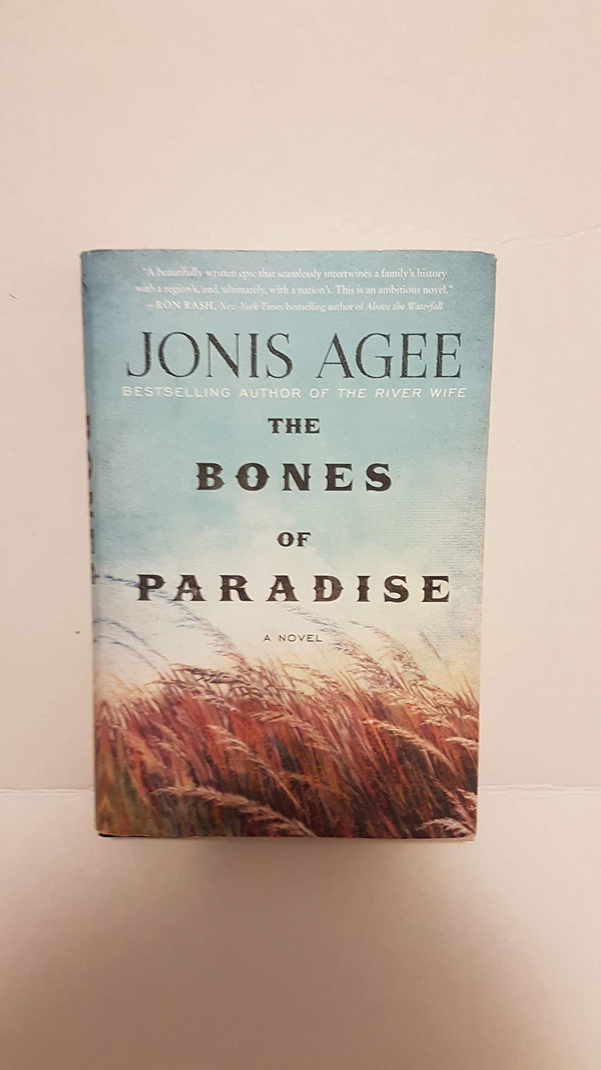 The Bones of Paradise: A Novel