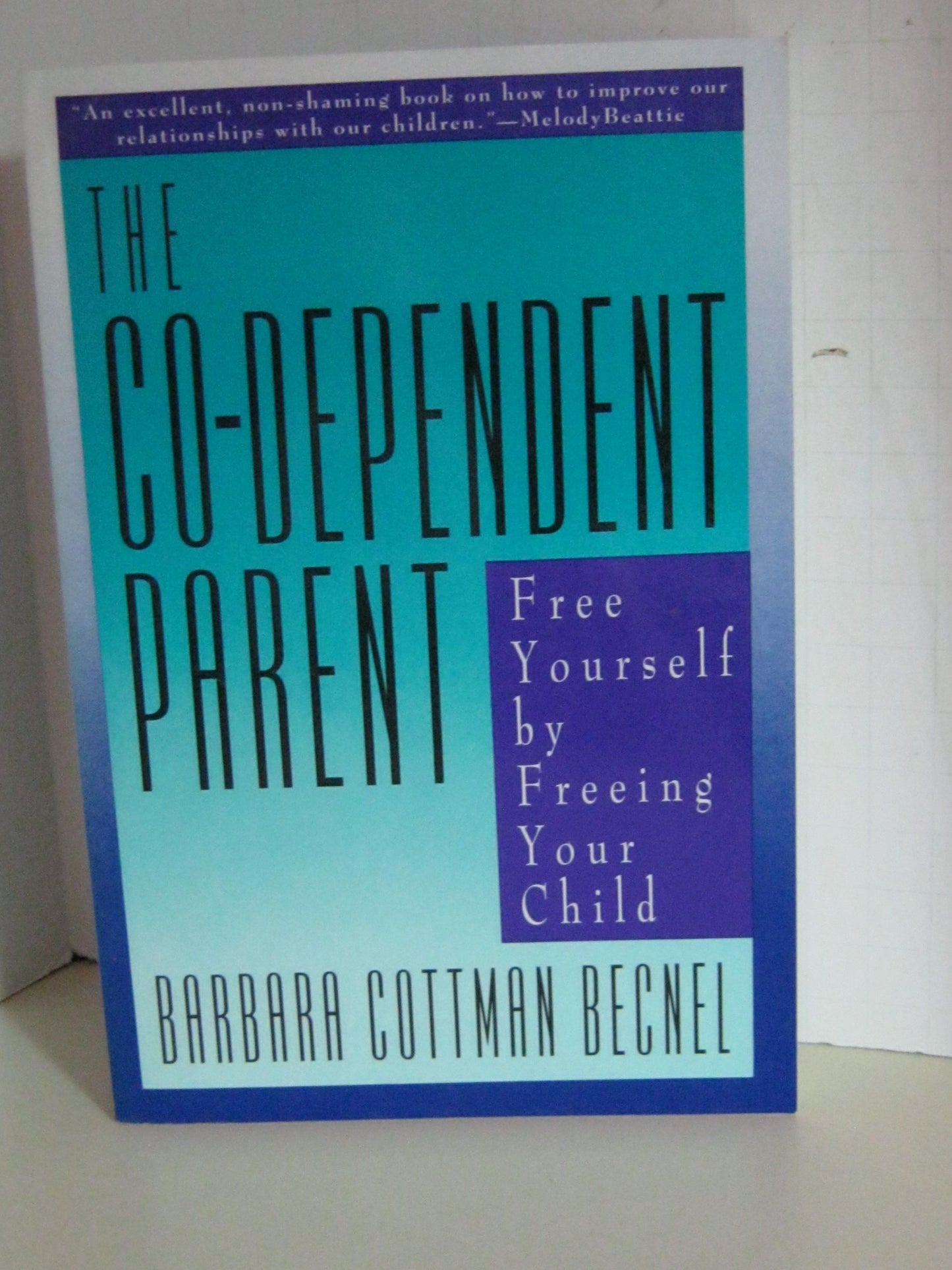 The Co-Dependent Parent: Free Yourself by Freeing Your Child