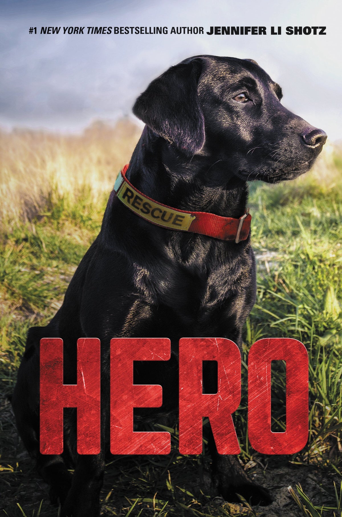 Hero: A Rescue Dog Adventure About Danger and Unbreakable Bonds for Kids (Ages 8-12)