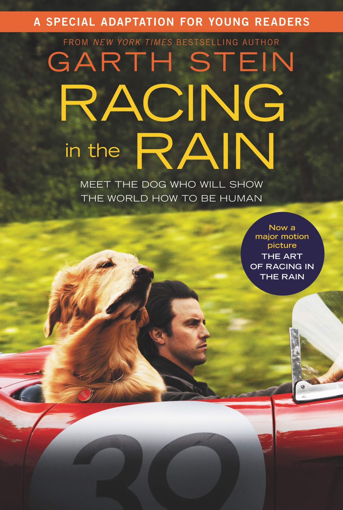 Racing in the Rain Movie Tie-In Young Readers' Edition: My Life as a Dog
