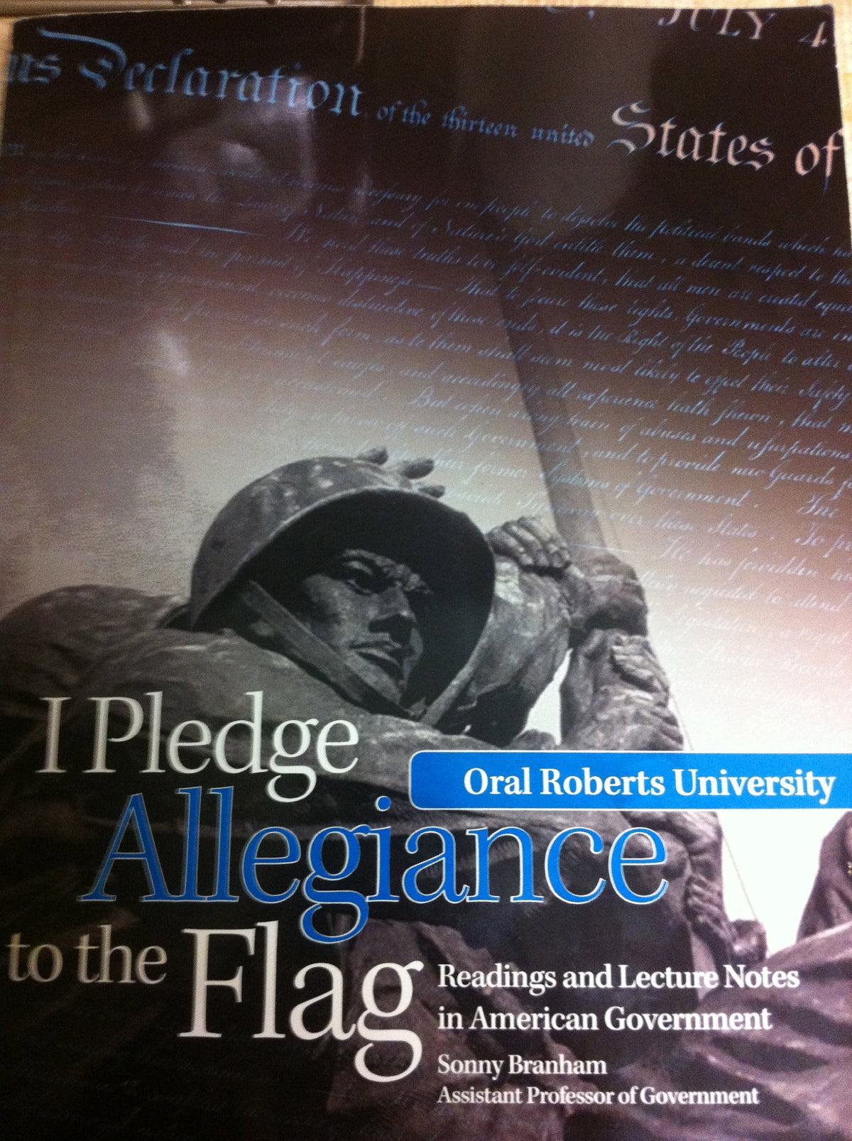 I Pledge Allegiance to the Flag: Readings and Lecture Notes in American Government