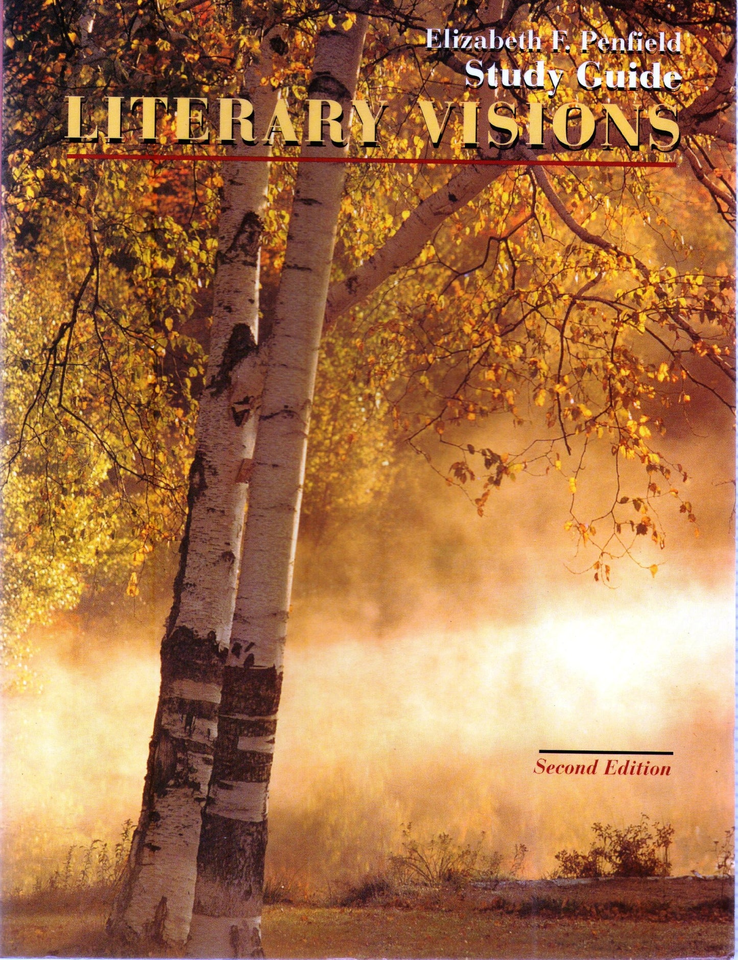 Study Guide Literary Visions
