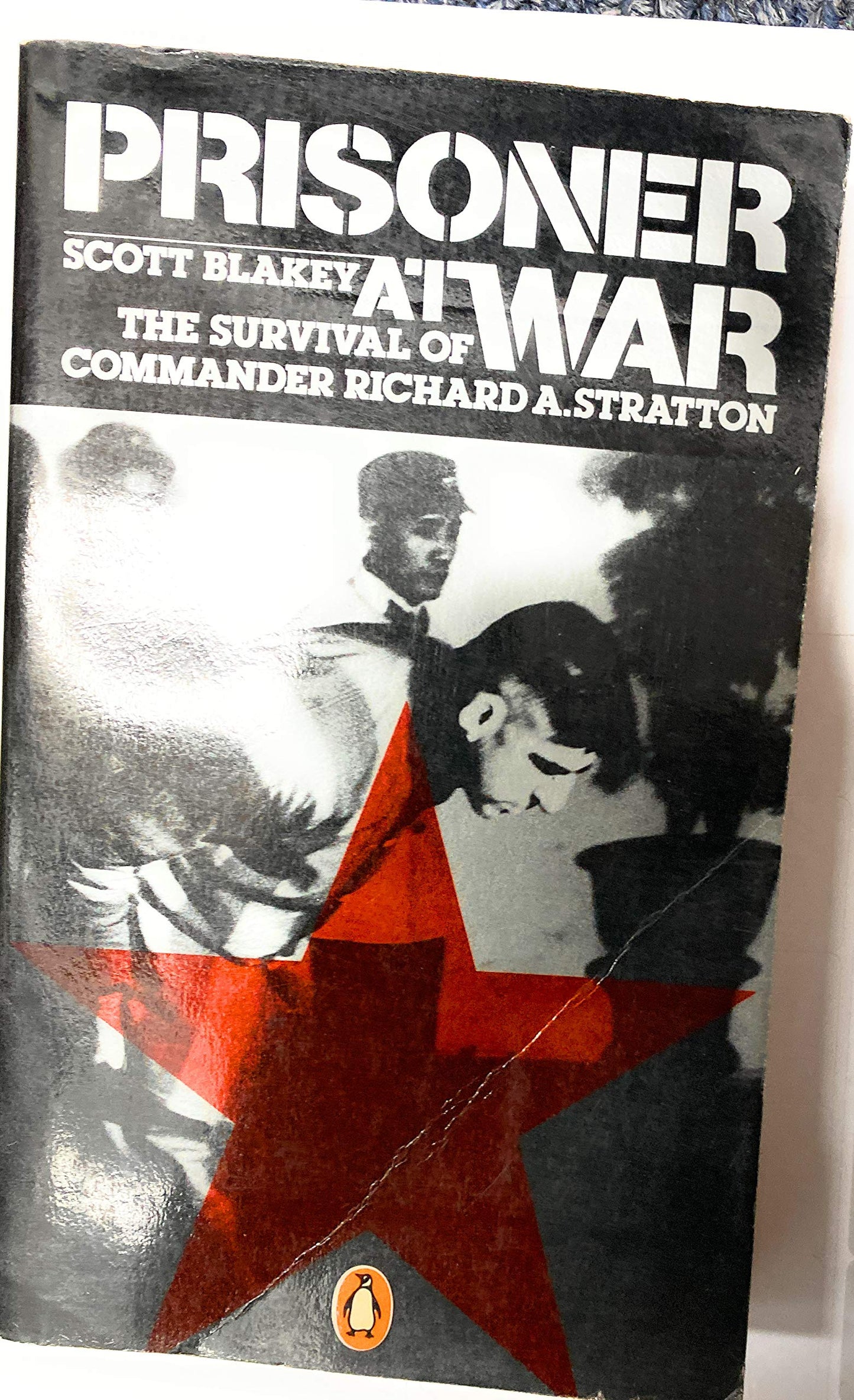 Prisoner at War