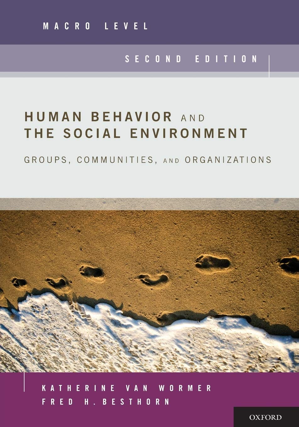 Human Behavior and the Social Environment, Macro Level: Groups, Communities, and Organizations