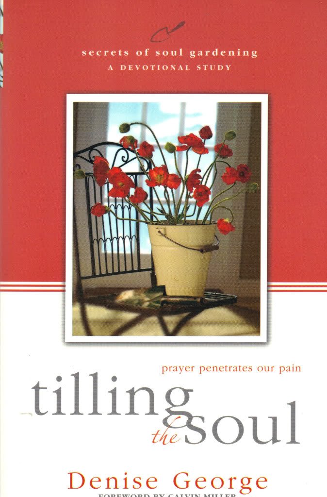 Tilling the Soul: Prayer Penetrates Our Pain (Secrets of Soul Gardening)