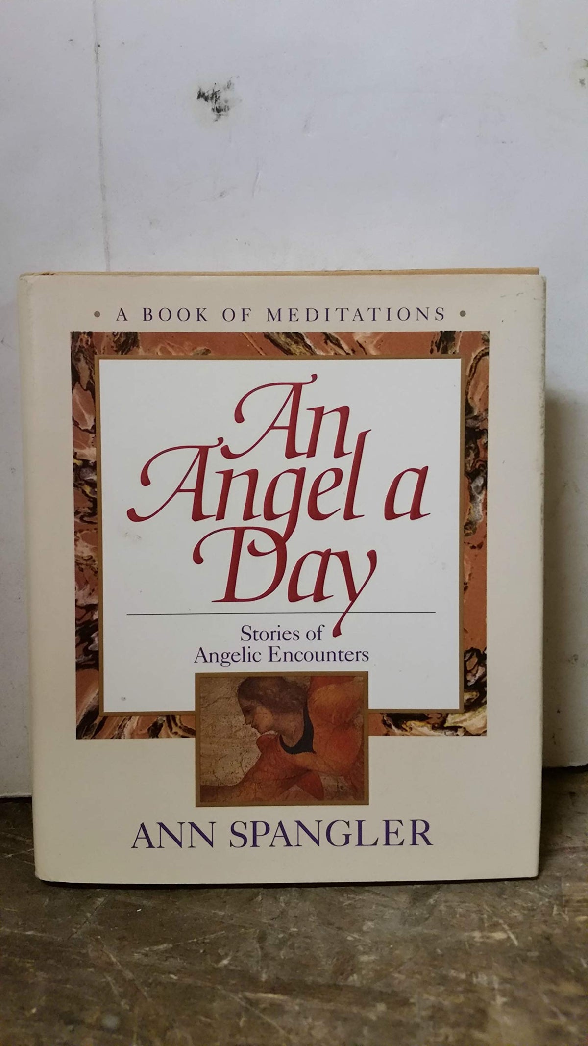 An Angel a Day : Stories of Angelic Encounters ( A Book of Meditations )