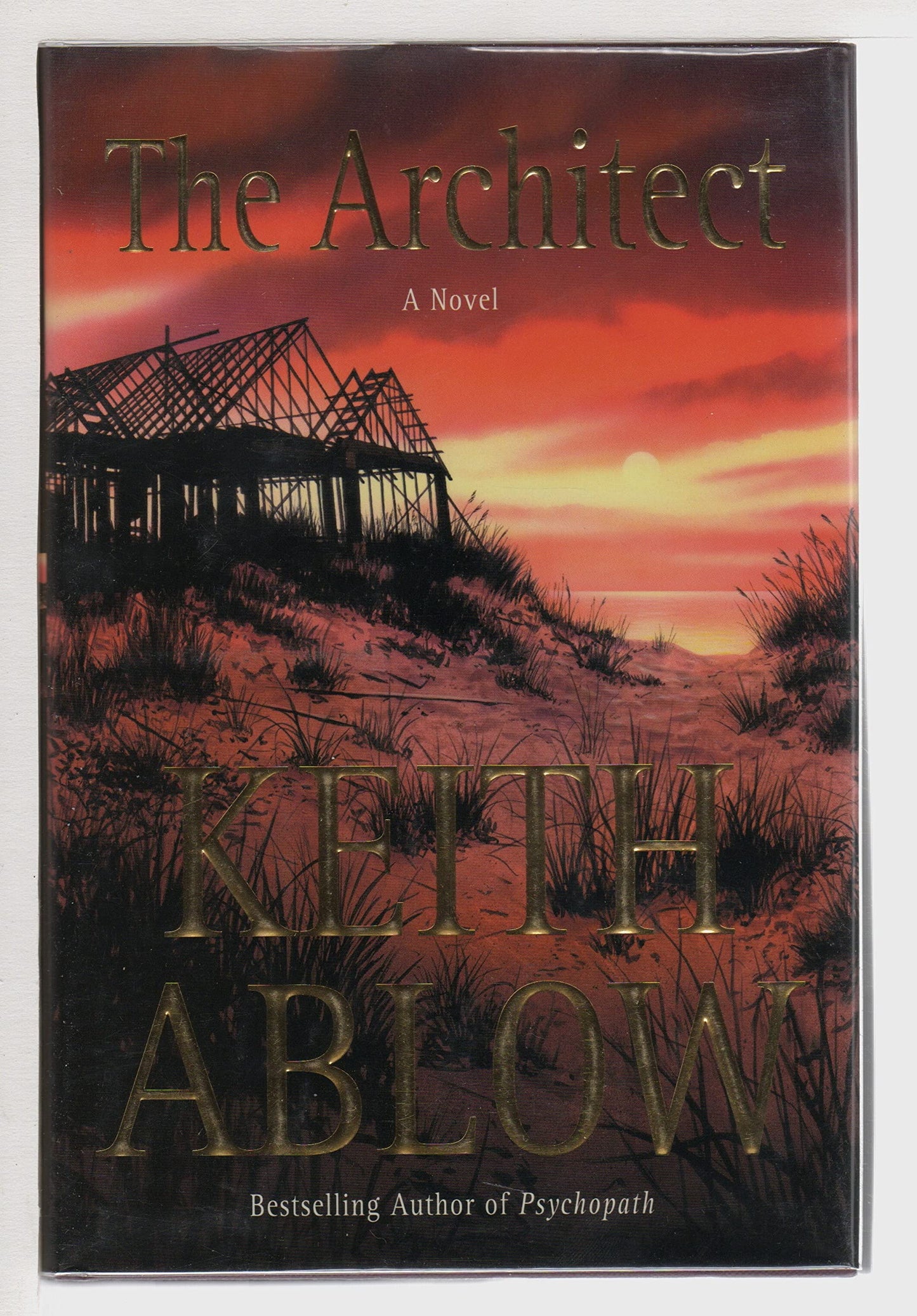 The Architect: A Novel (Frank Clevenger)
