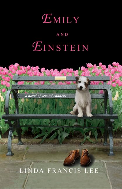 Emily & Einstein: A Novel of Second Chances