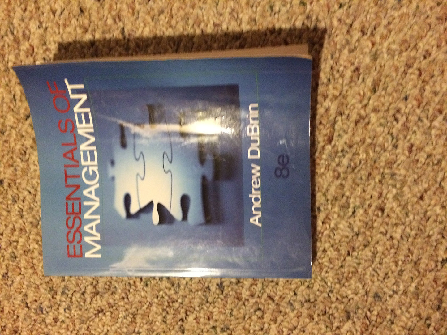 Essentials of Management