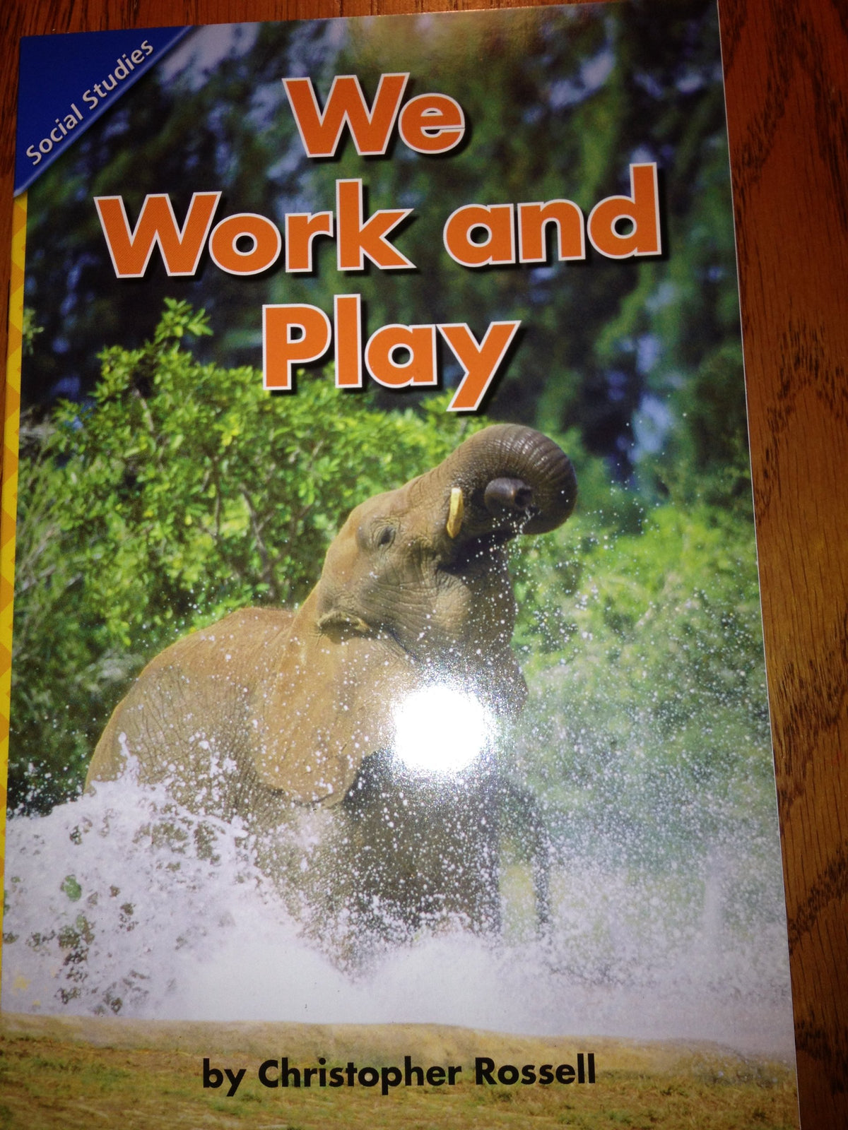 READING 2011 CONCEPT LITERACY READER GRADE K UNIT 1 WEEK 5 WE WORK AND PLAY