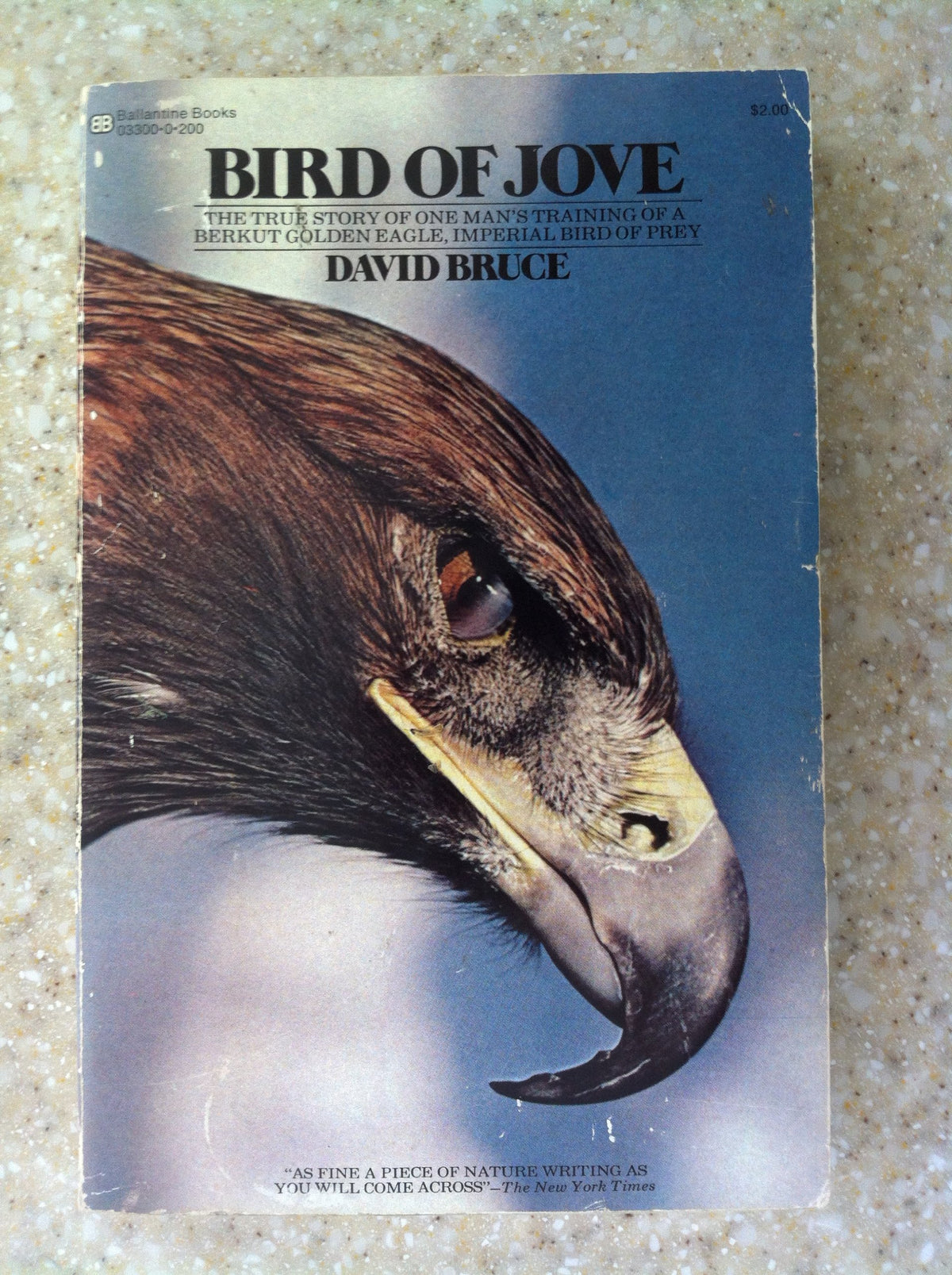 Bird of Jove
