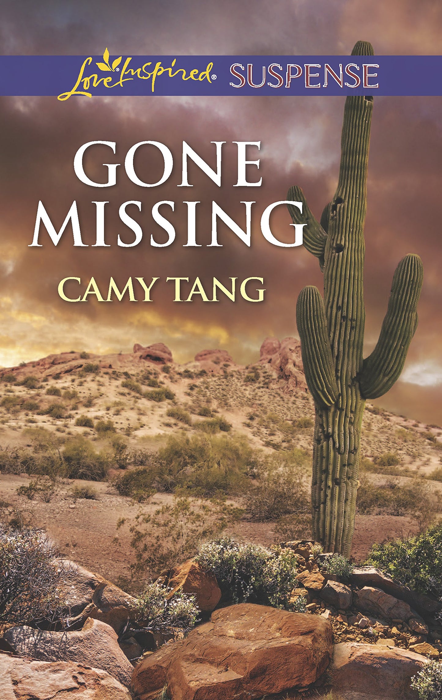 Gone Missing (Love Inspired Suspense)