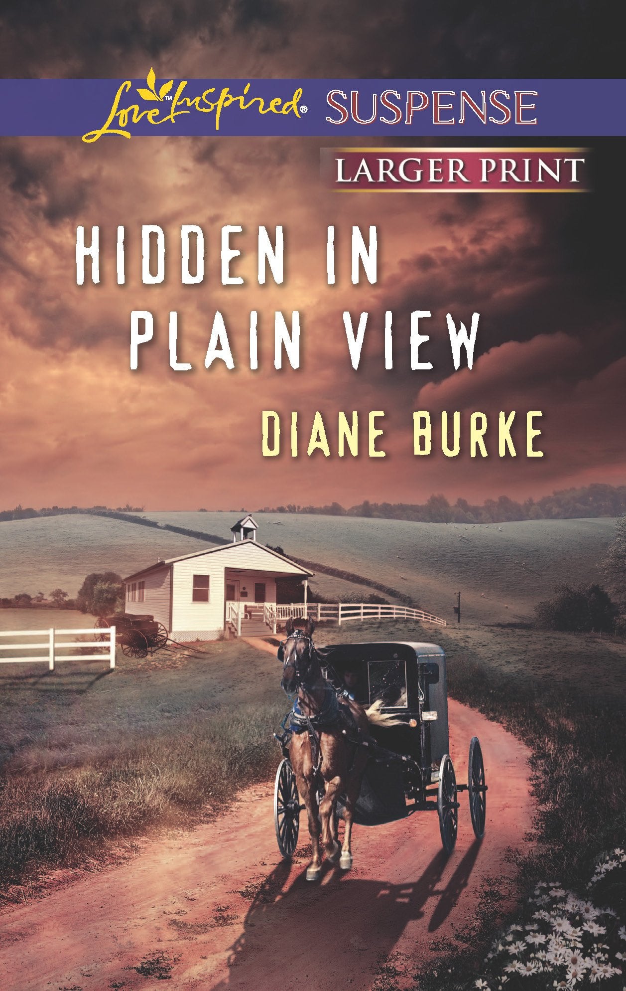 Hidden in Plain View (Love Inspired Suspense)
