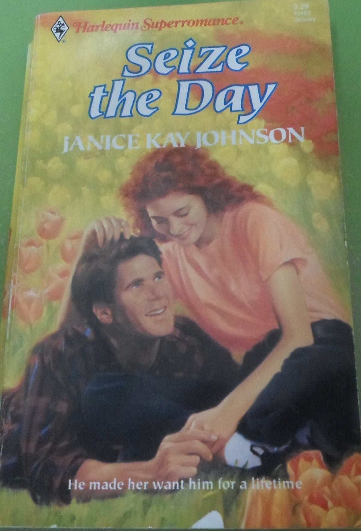 Seize the Day (Harlequin Superromance No. 483)