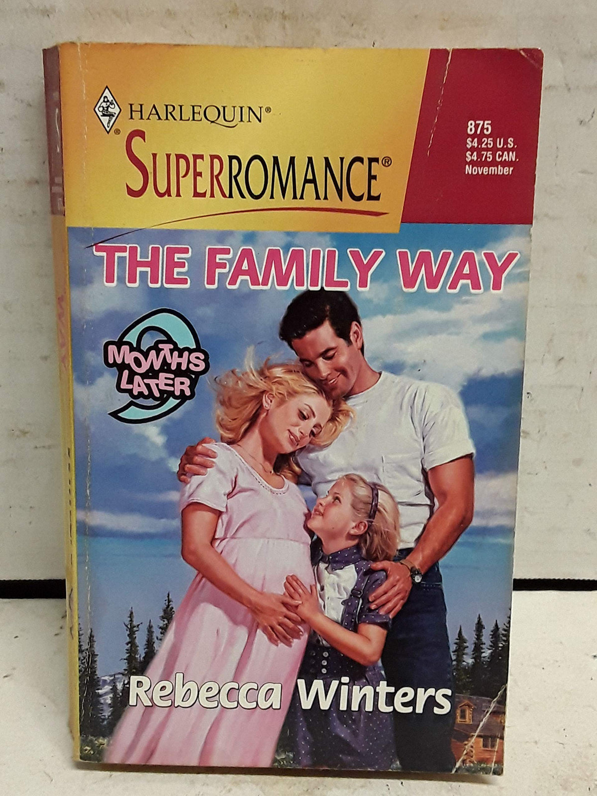 The Family Way: 9 Months Later (Harlequin Superromance No. 875)