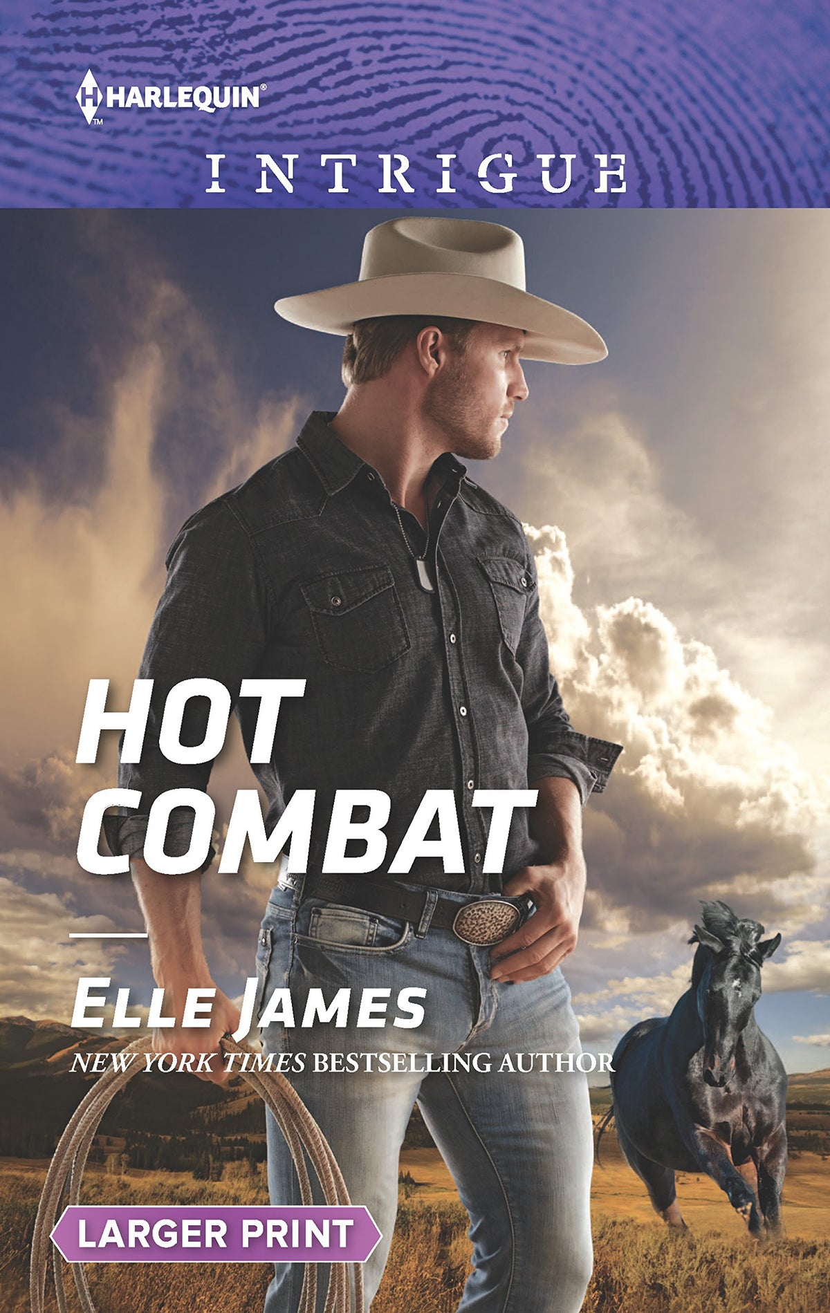 Hot Combat (Ballistic Cowboys, 1)