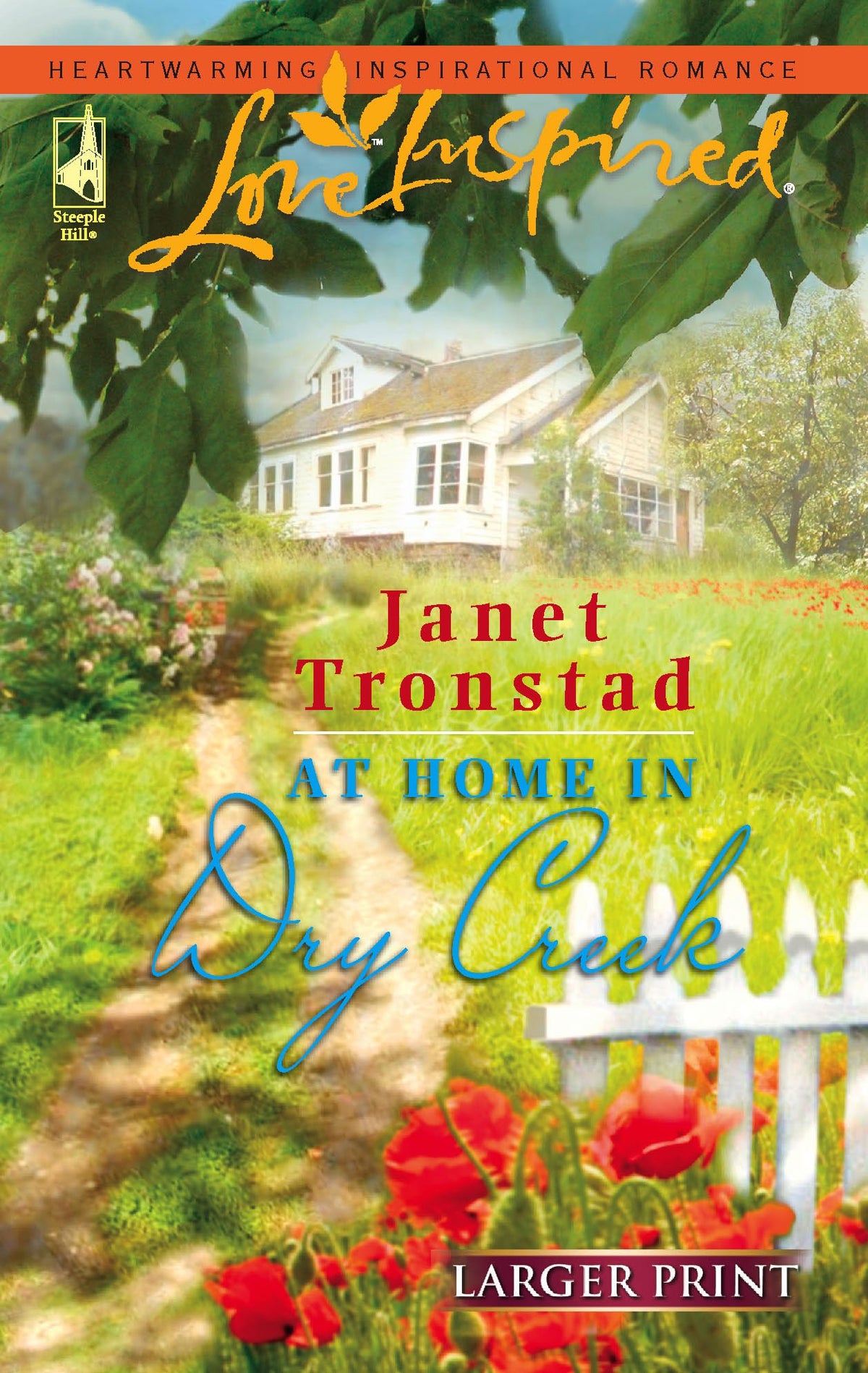 At Home in Dry Creek (Dry Creek Series #9) (Larger Print Love Inspired #371)
