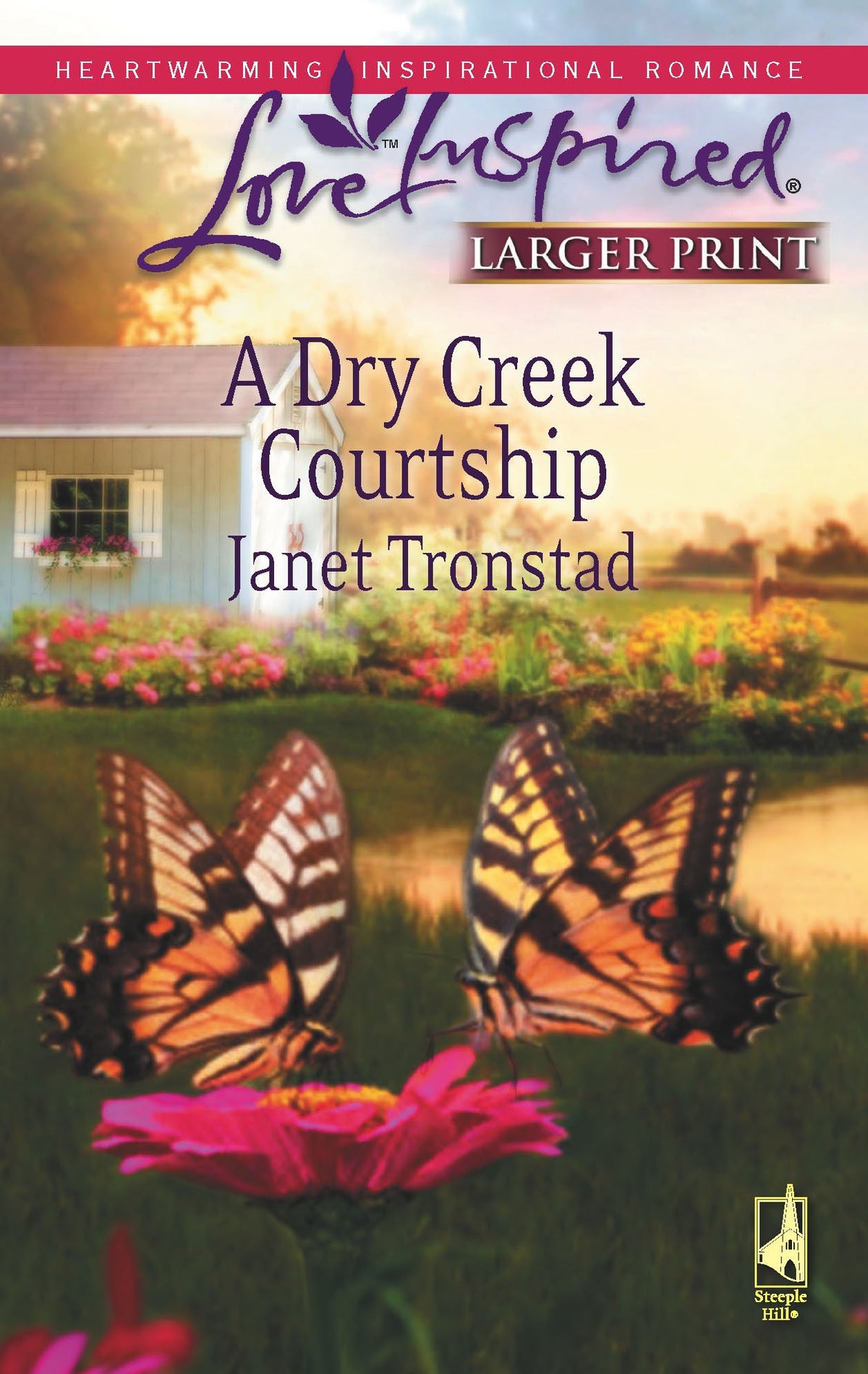 A Dry Creek Courtship (Dry Creek Series #13) (Larger Print Love Inspired #459)