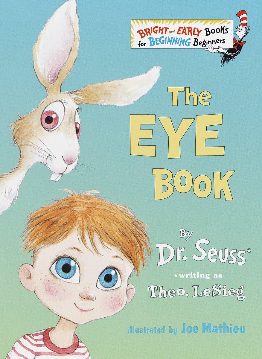 THE EYE BOOK