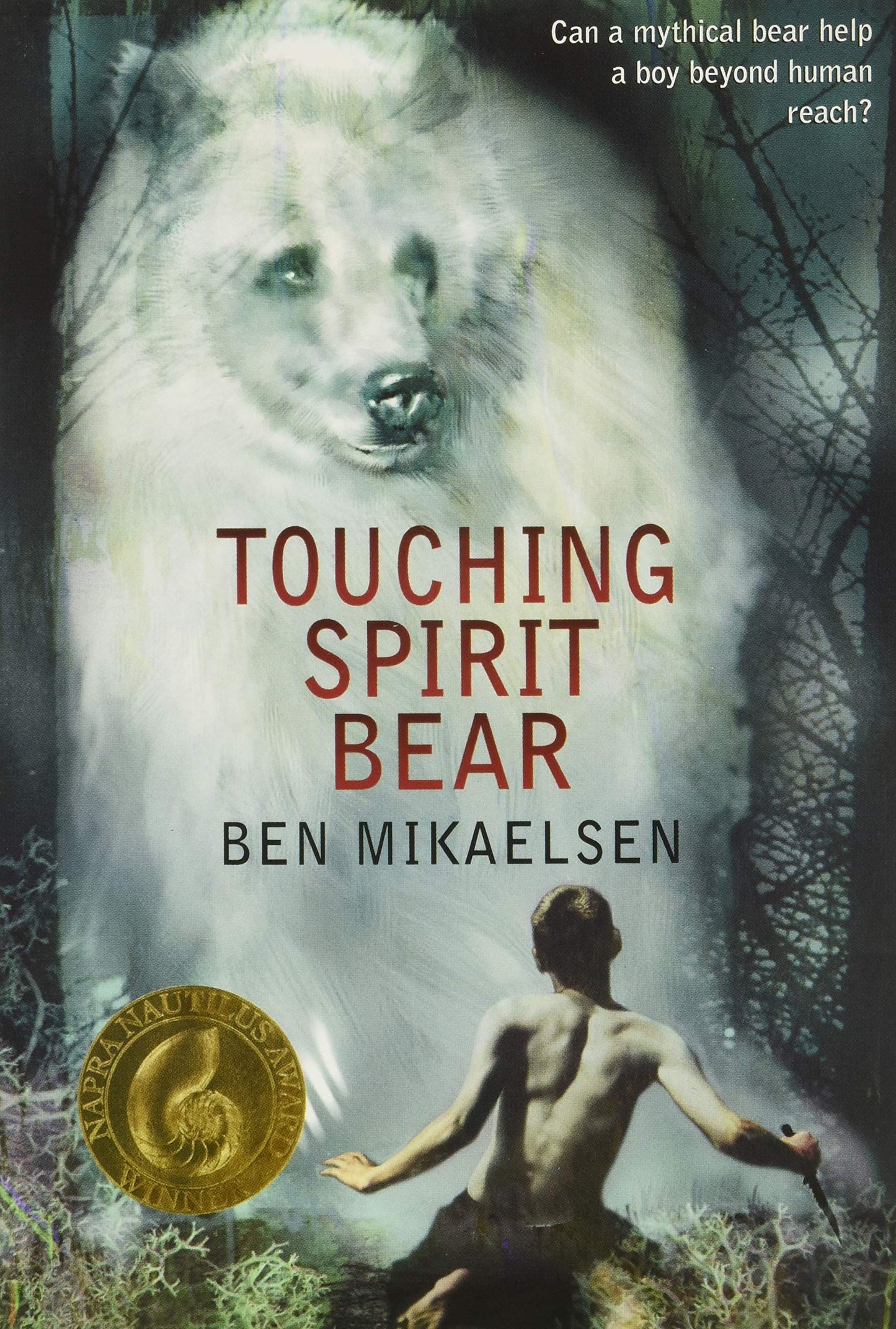 Touching Spirit Bear: A Powerful Coming-of-Age Story About Anger, Justice, and Redemption in a Divided Community