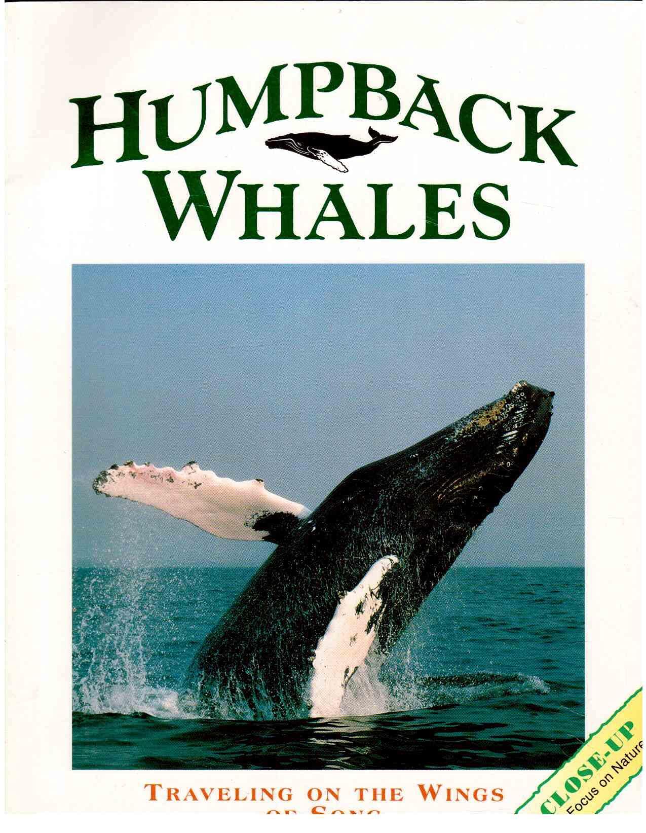 Humpback Whales: Traveling on the Wings of a Song (Close Up)