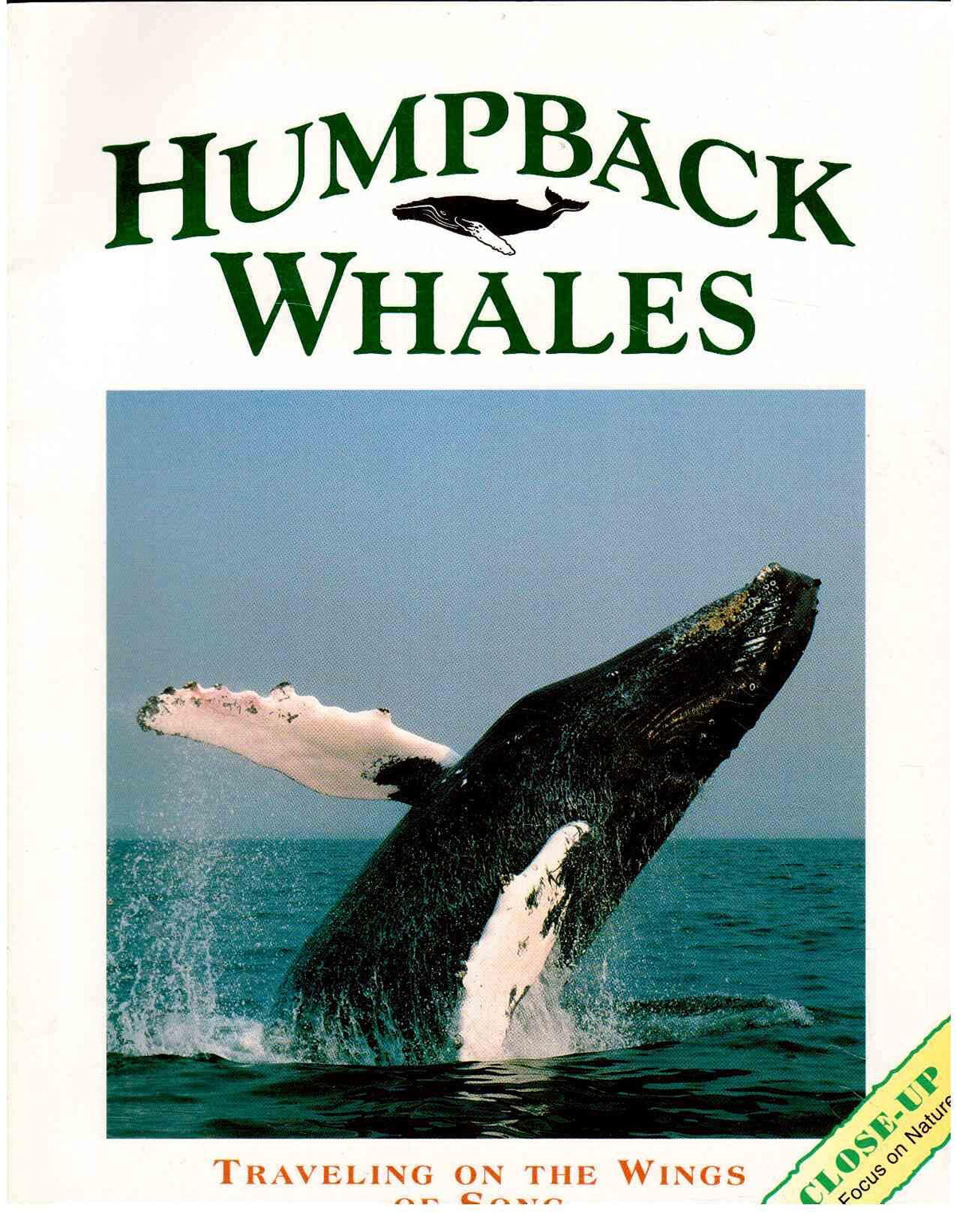 Humpback Whales: Traveling on the Wings of a Song (Close Up)