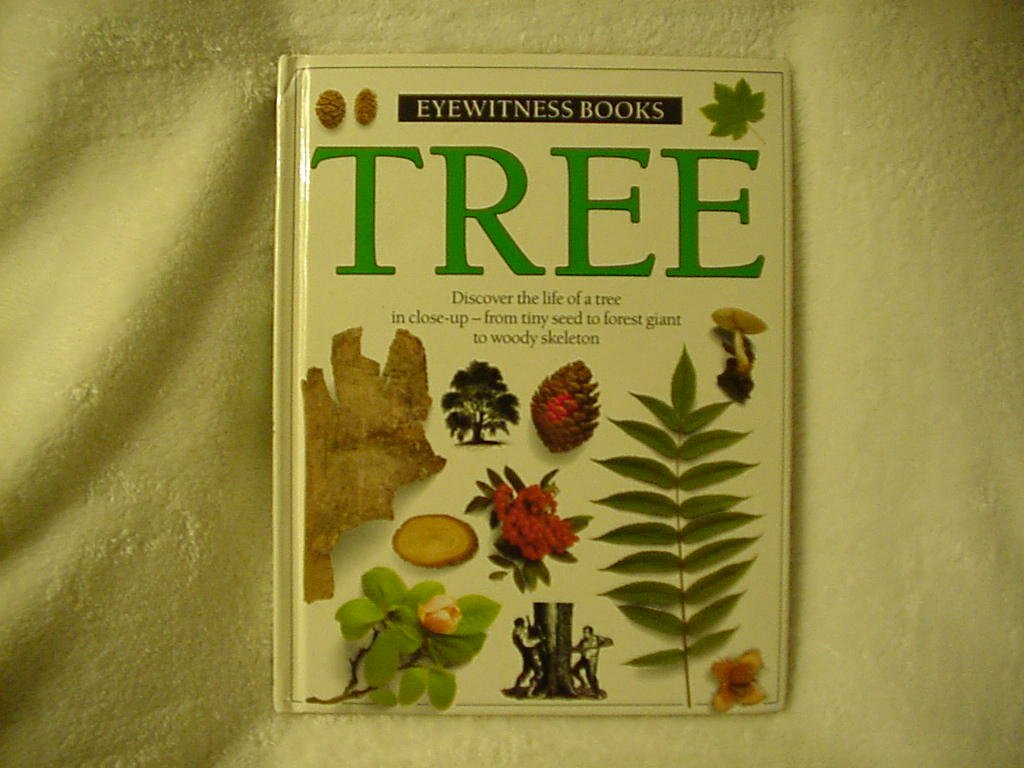 Tree (Eyewitness)