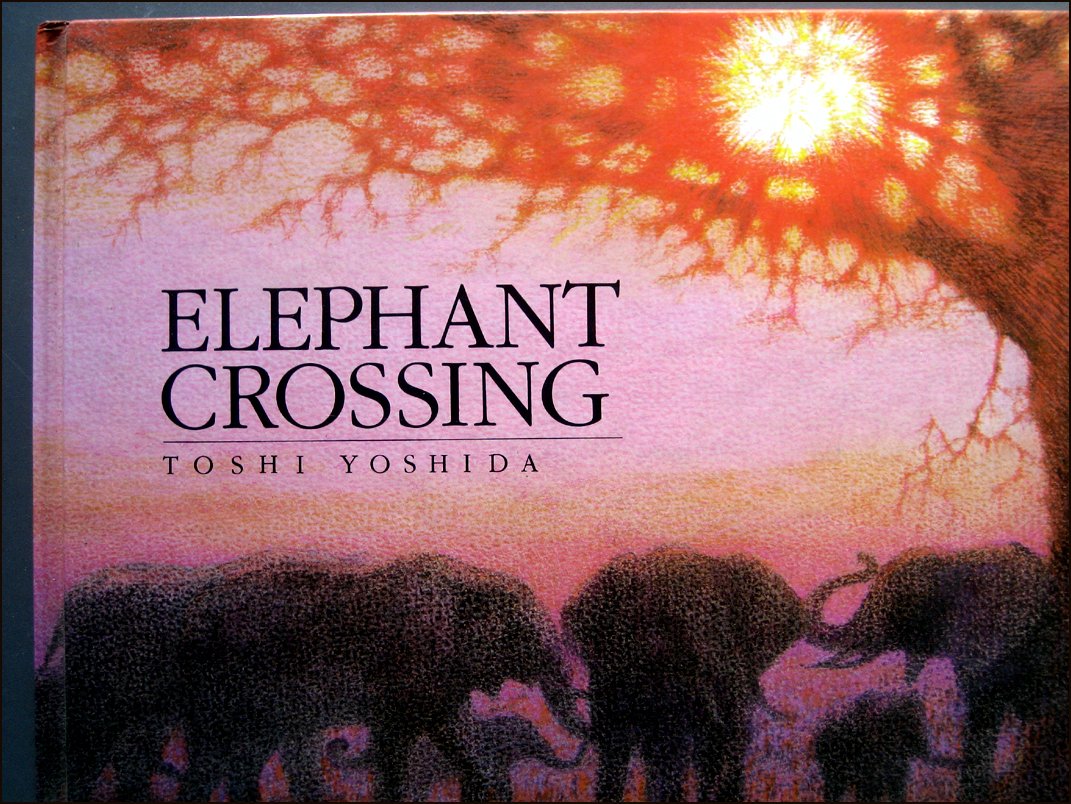 Elephant Crossing
