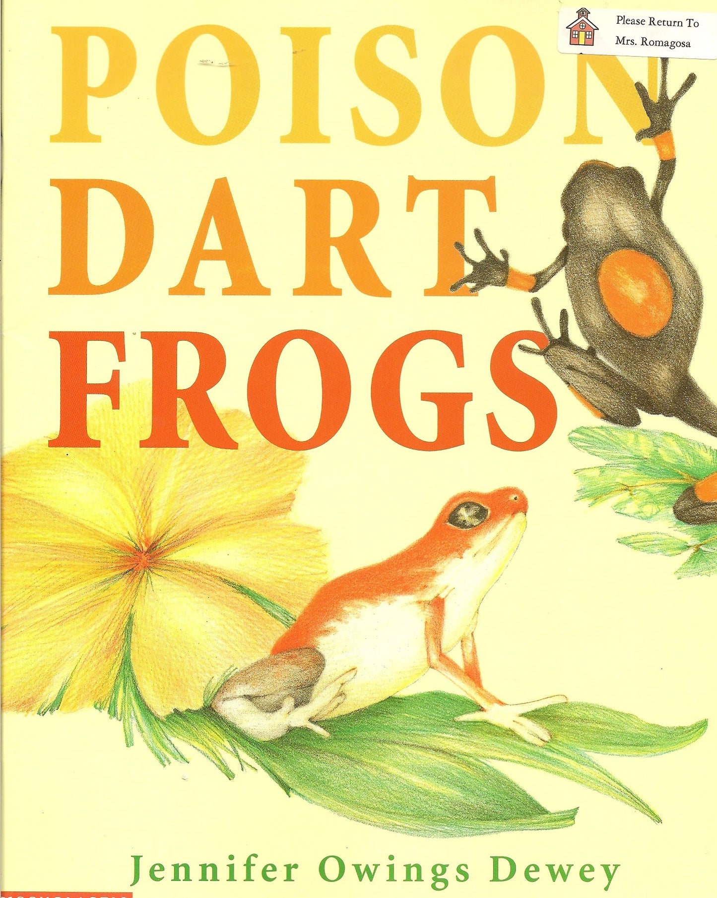 Poison dart frogs