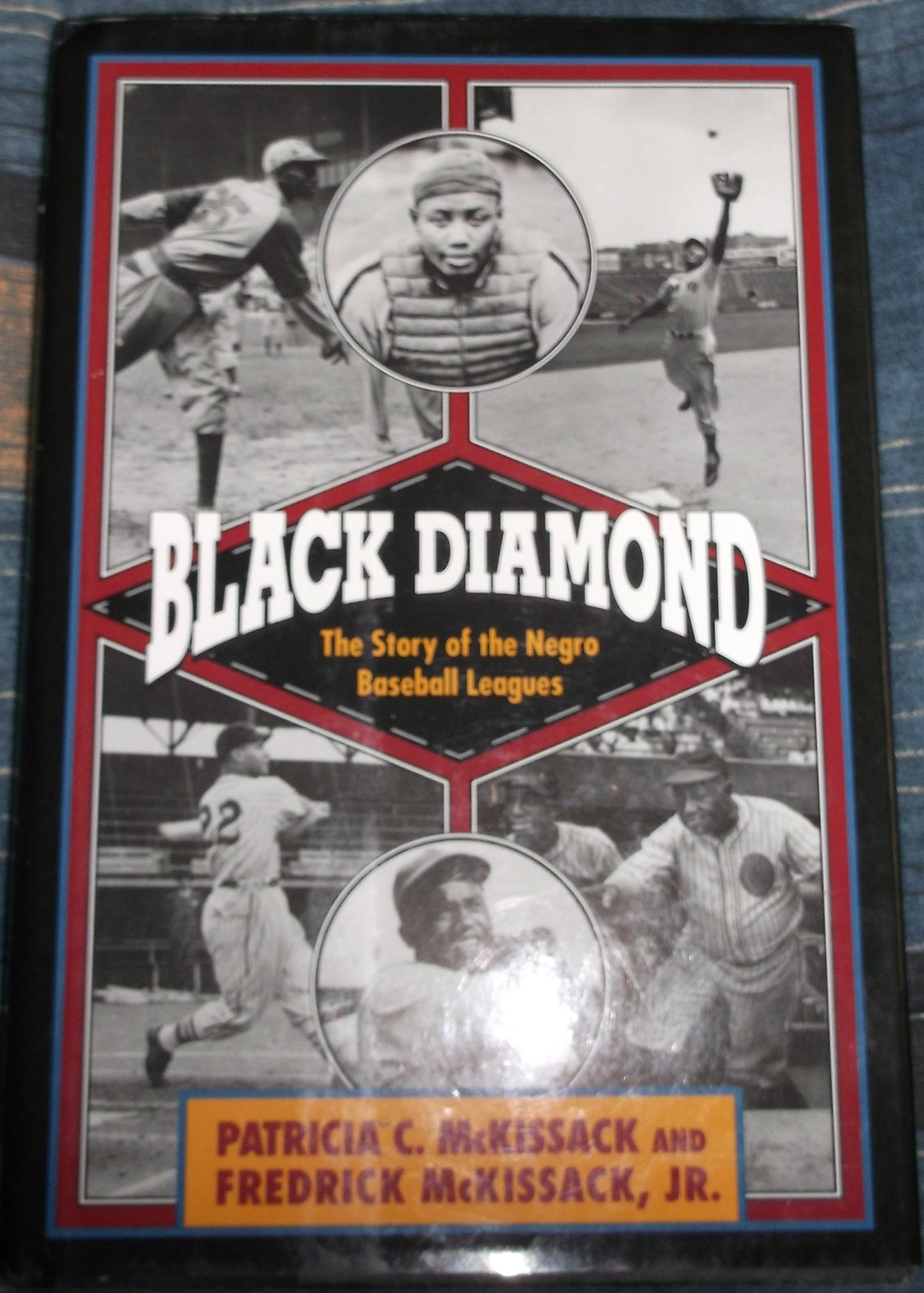 Black Diamond: The Story of the Negro Baseball Leagues