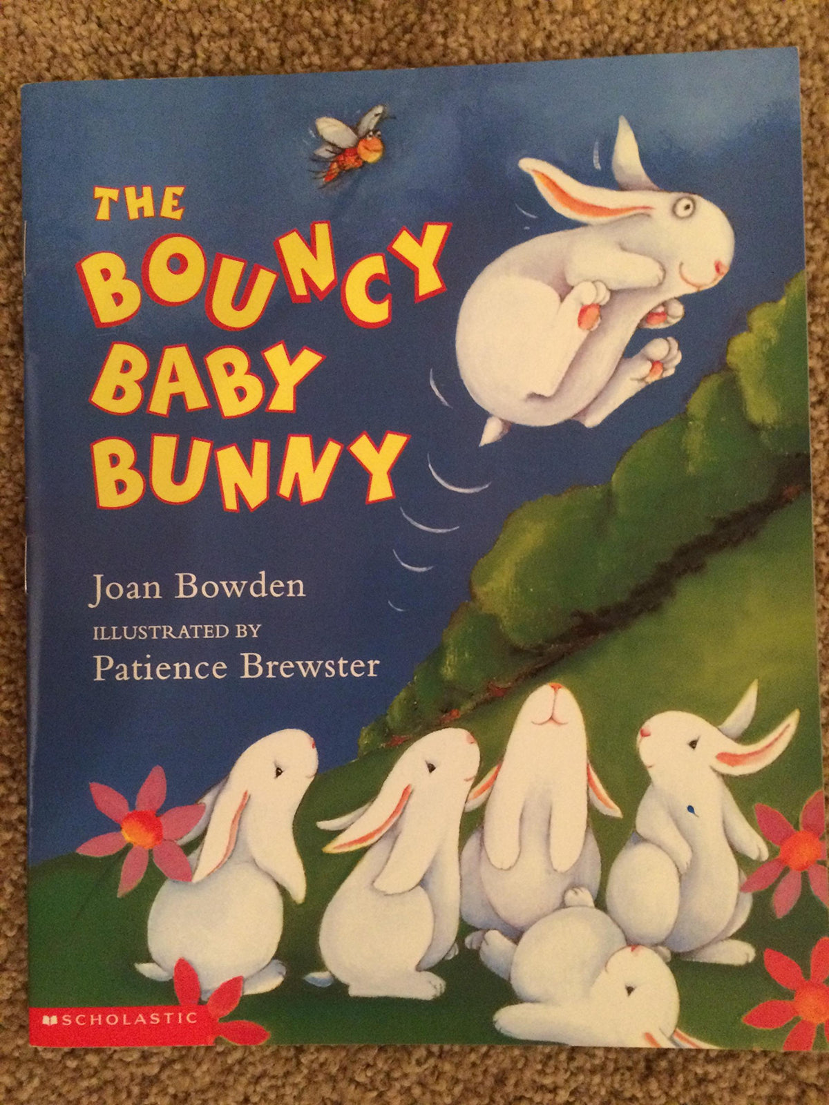 The bouncy baby bunny