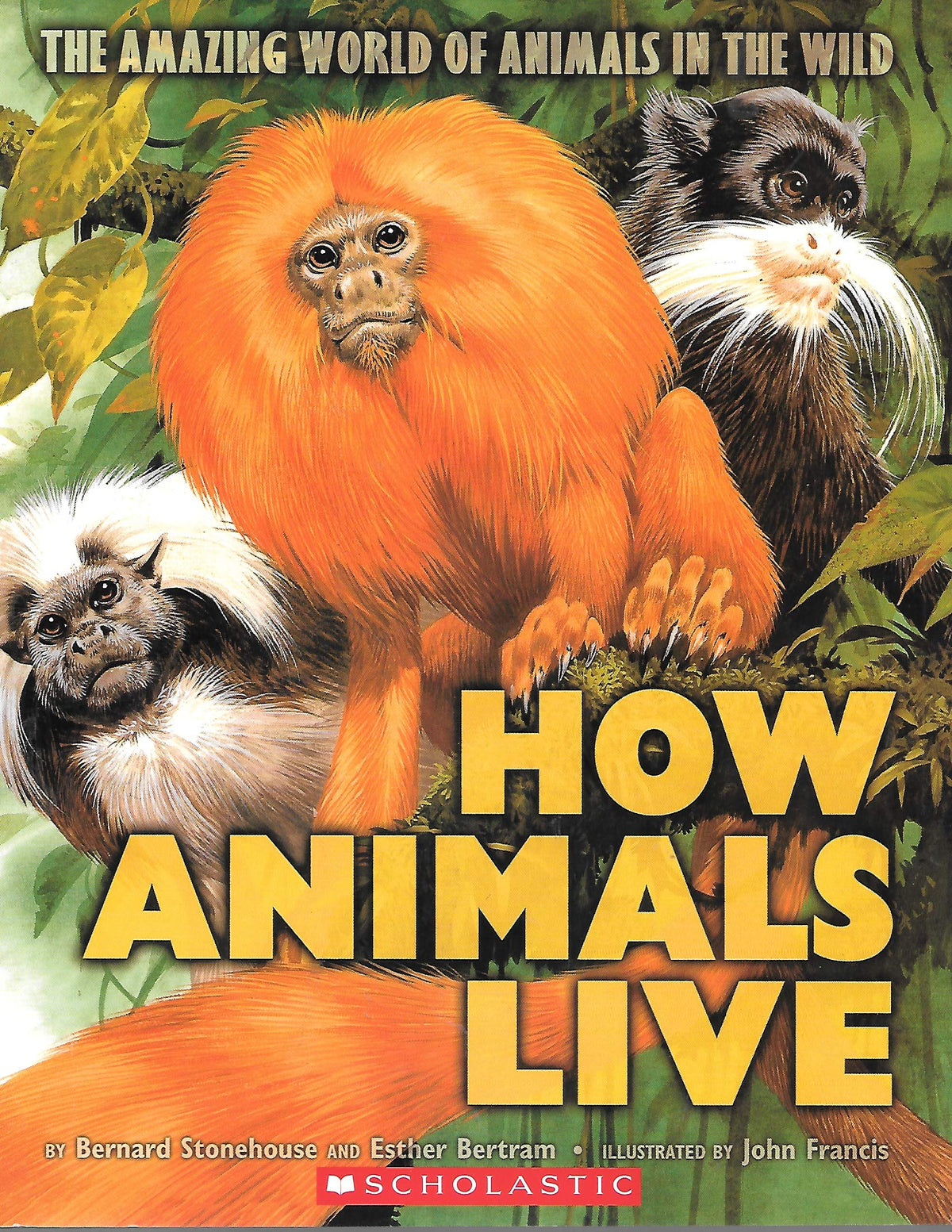 How Animals Live (The Amazing World of Animals in the Wild)