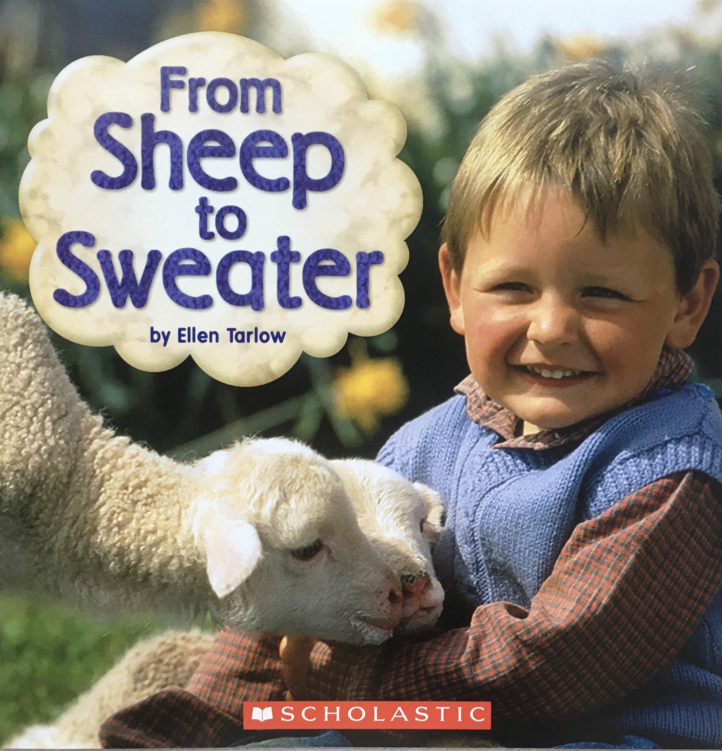 From Sheep to Sweater