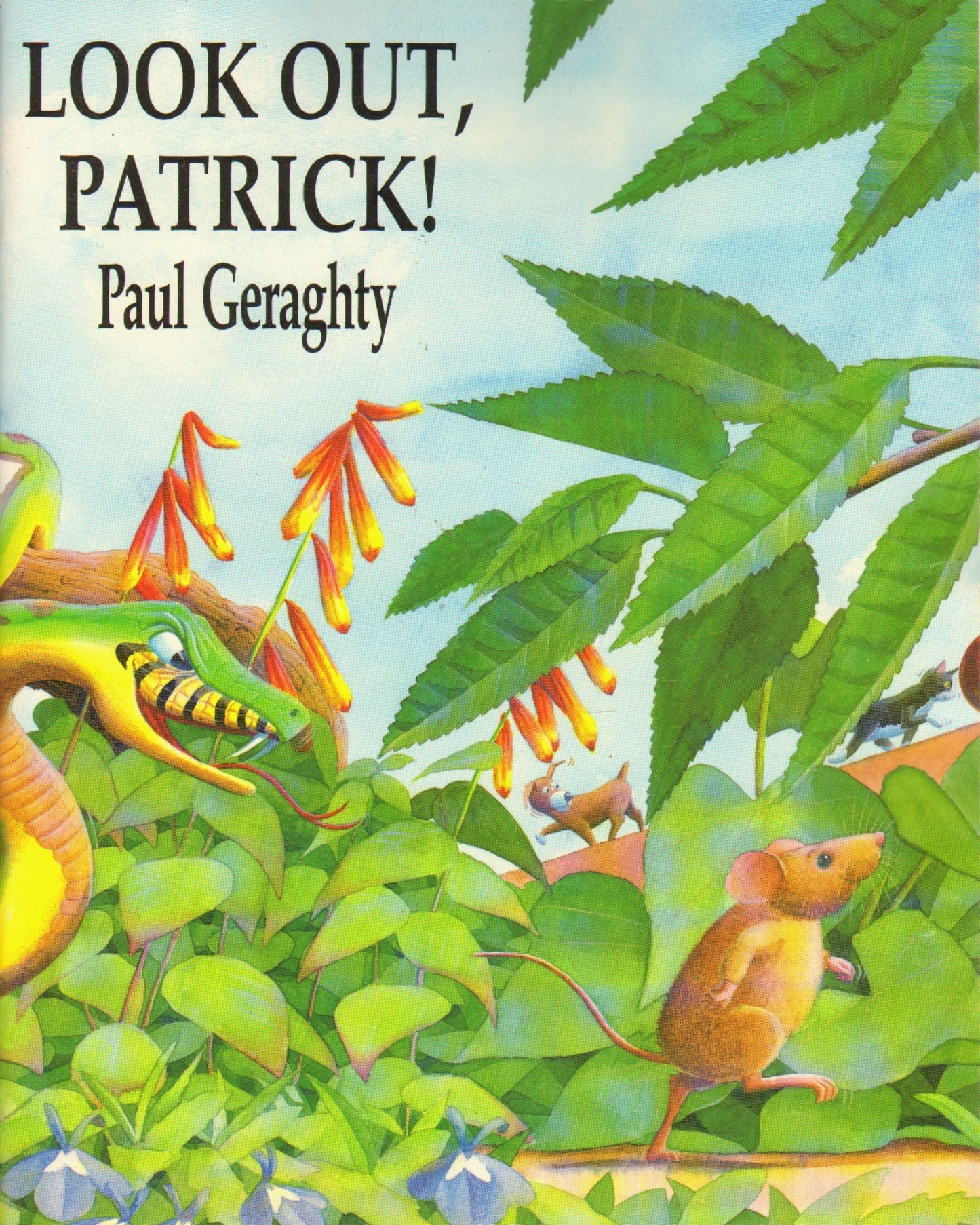 Look out, Patrick!