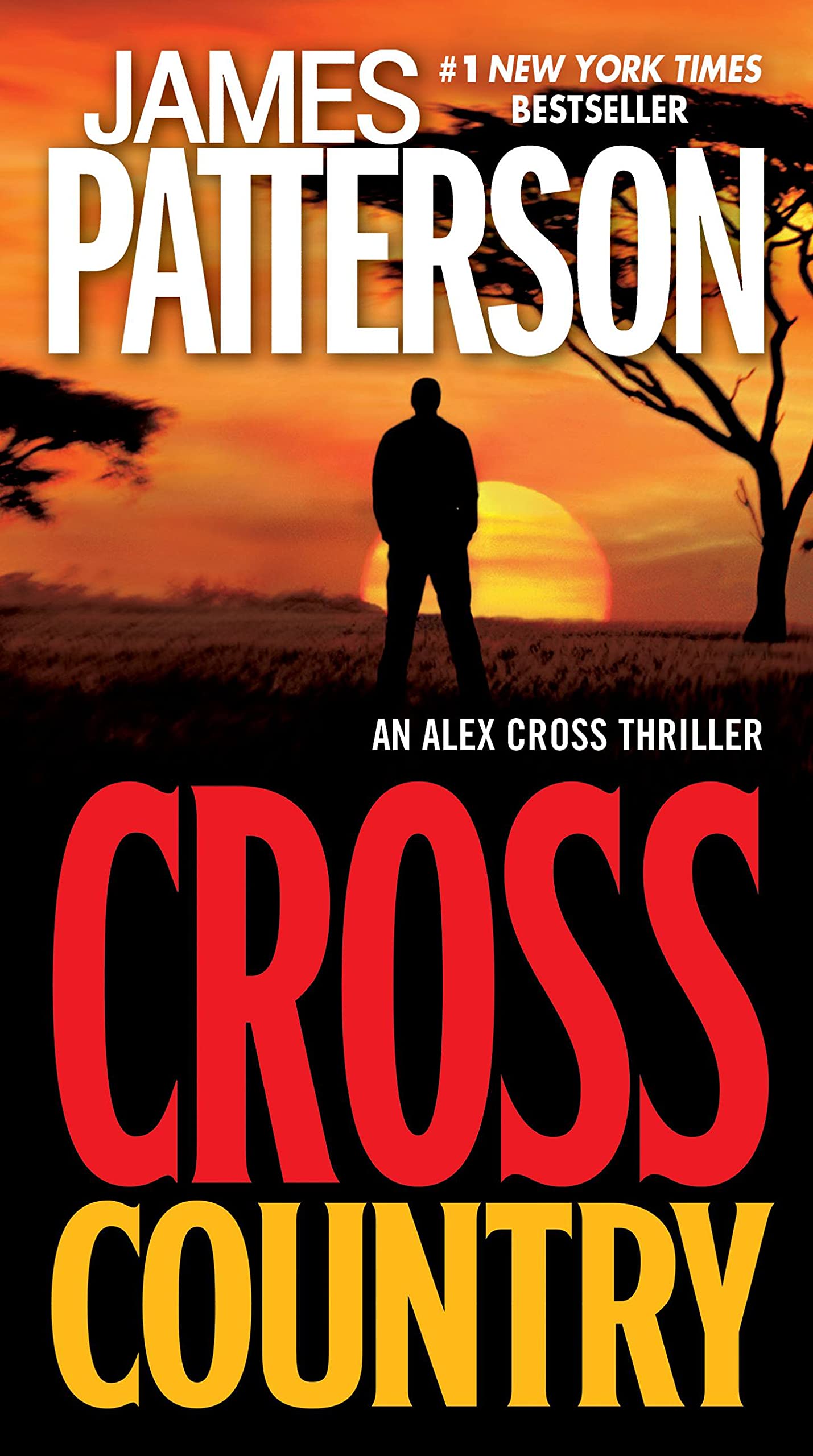 Cross Country (Alex Cross, 14)