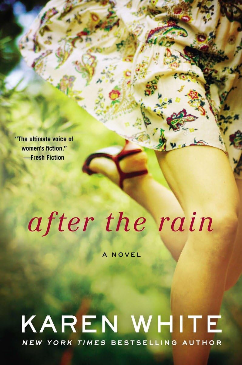 After the Rain (A Falling Home Novel)