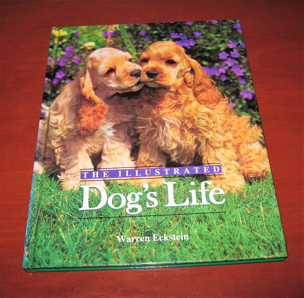 The Illustrated Dog's Life