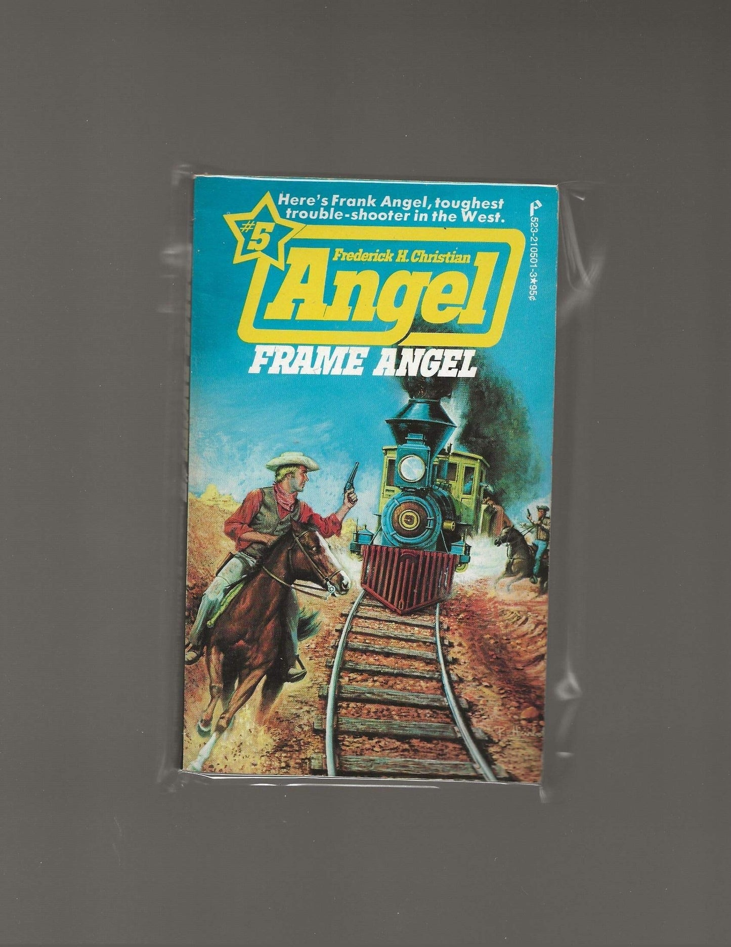 Frame Angel #5
