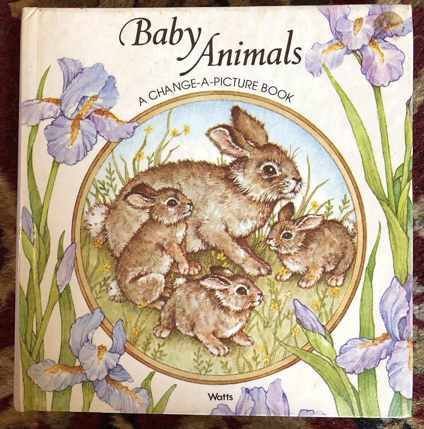 Baby Animals